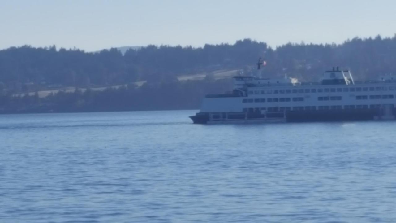 By The Sea Bnb, Sidney Victoria Bc Exterior photo